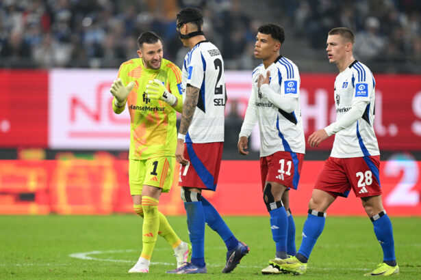 Daniel Heuer Fernandes