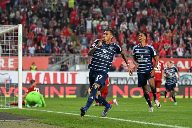 Dem HSV stehen mehrere hochkarätige Angreifer zur Verfügung.