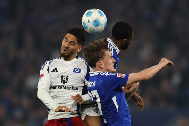 HSV-Kapitän Ludovit Reis haderte mit dem Endresultat auf Schalke.