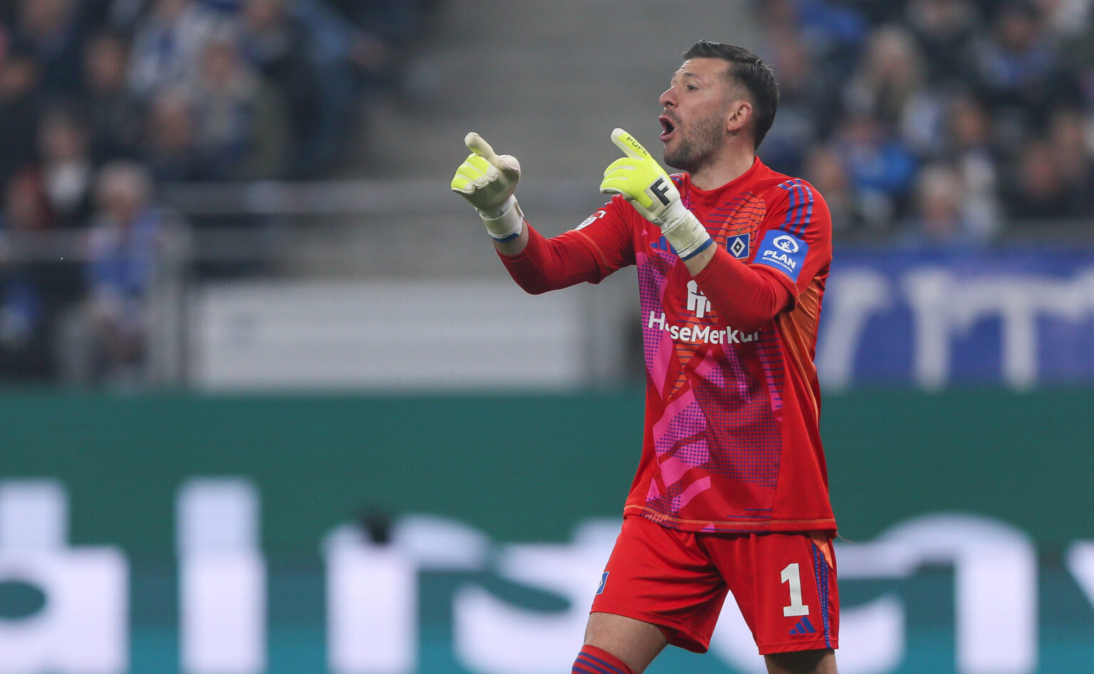 Daniel Heuer Fernandes