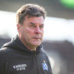 Dieter Hecking sprach über seine Zeit beim HSV.