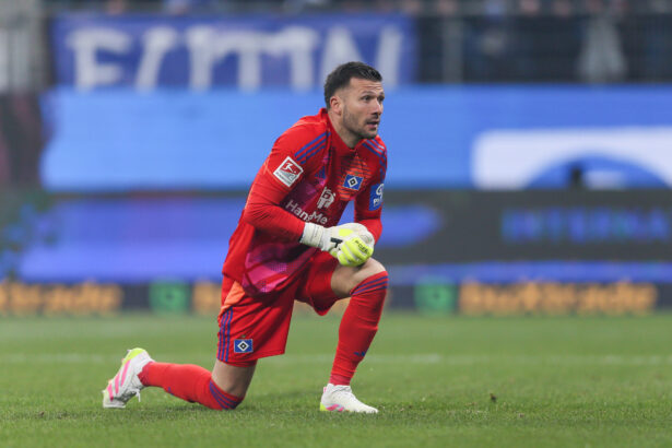 Daniel Heuer Fernandes