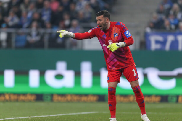 Daniel Heuer Fernandes