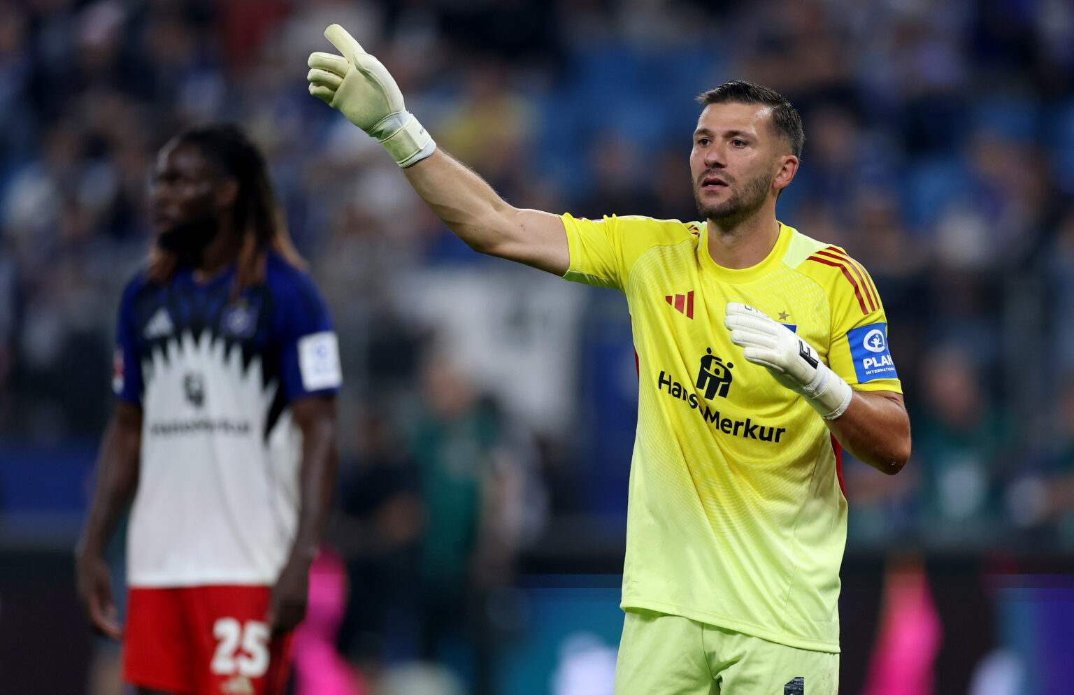 Daniel Heuer Fernandes