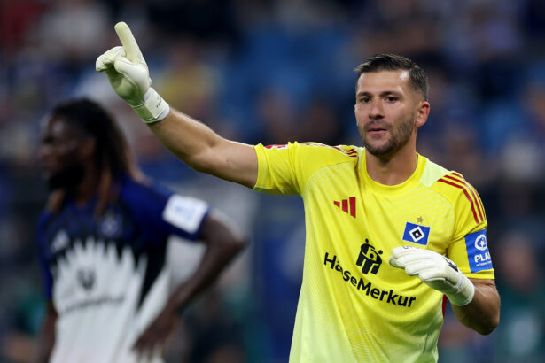 Daniel Heuer Fernandes