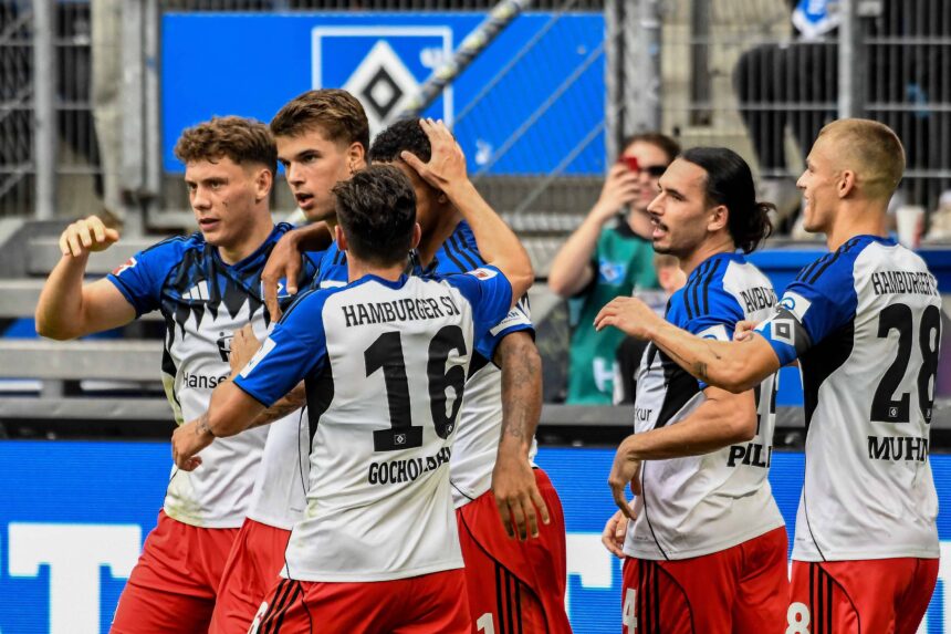 Der HSV verpflichtete im Sommer zwölf Neuzugänge.