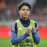 Alexander Røssing-Lelesiit