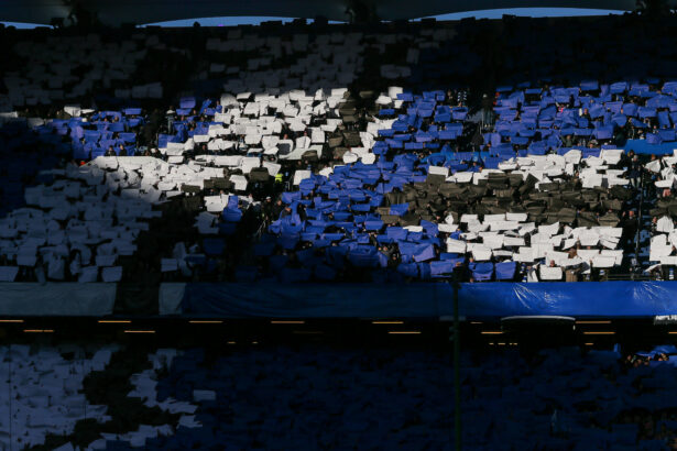 HSV-Fans