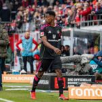 Albert Sambi Lokonga