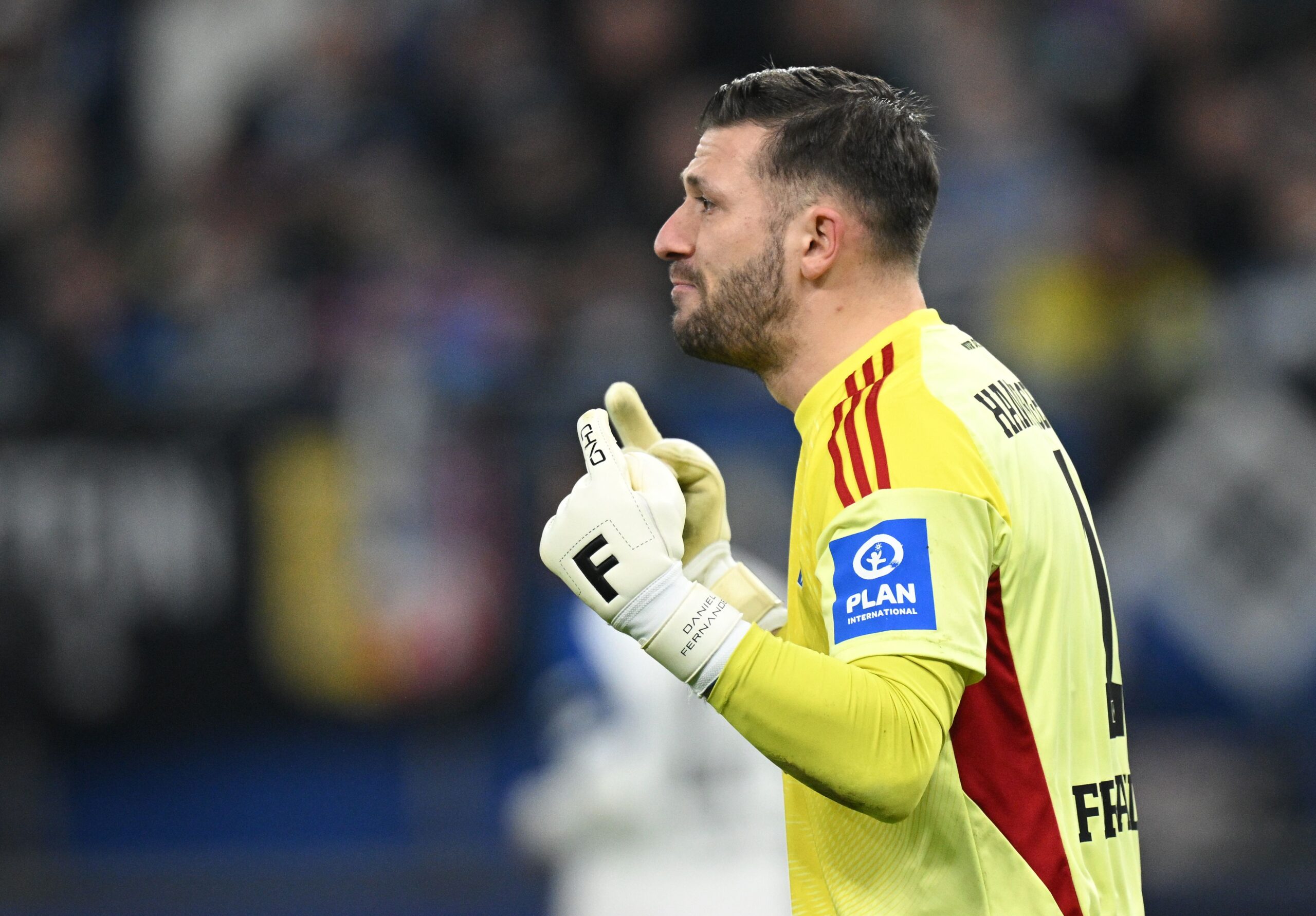 Pffeier Adler über HSV-Keeper Heuer Fernandes: