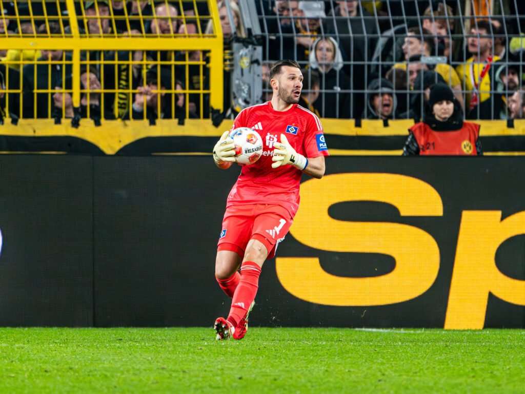 Daniel Heuer Fernandes