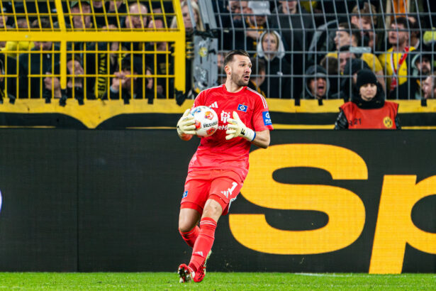Daniel Heuer Fernandes