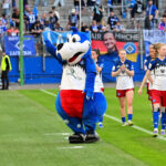 Dino Hermann