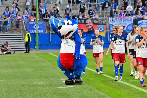 Dino Hermann