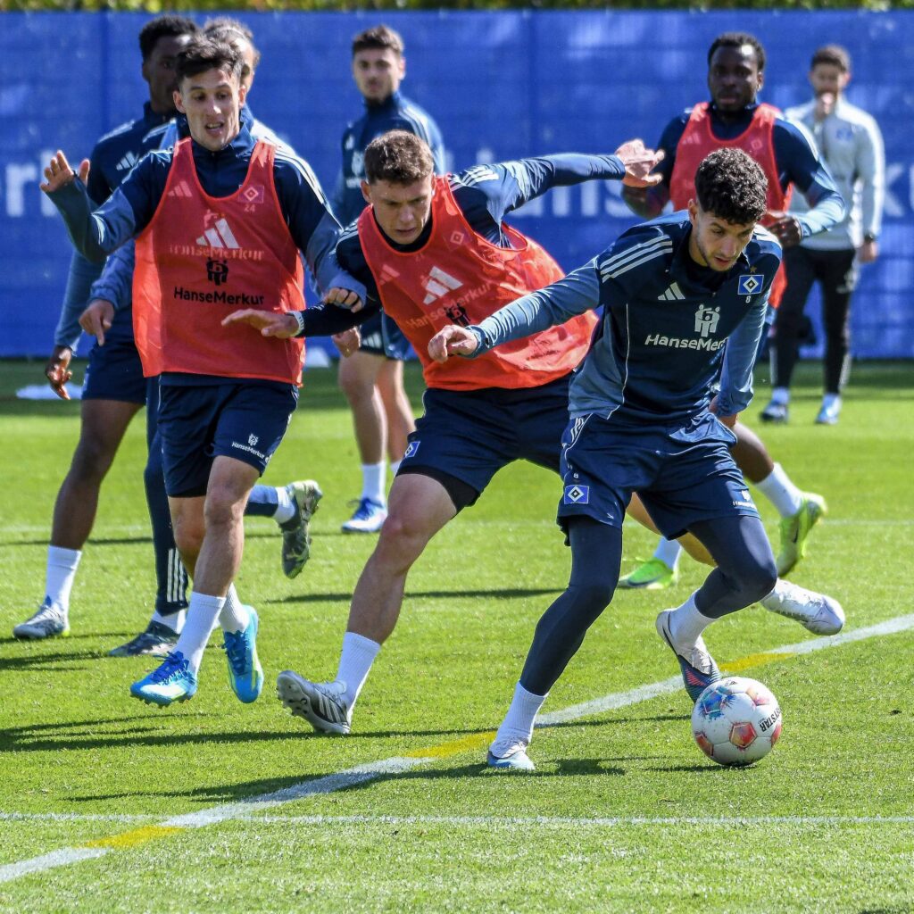 HSV Training