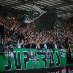 SK Rapid Wien, Fans