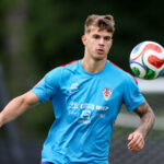 Luka Vuskovic
