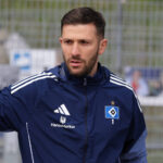 Daniel Heuer Fernandes
