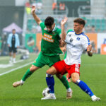 Rapid Wien HSV