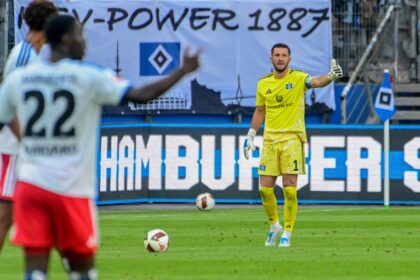 Daniel Heuer Fernandes