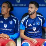 Yussuf Poulsen, Fabio Vieira