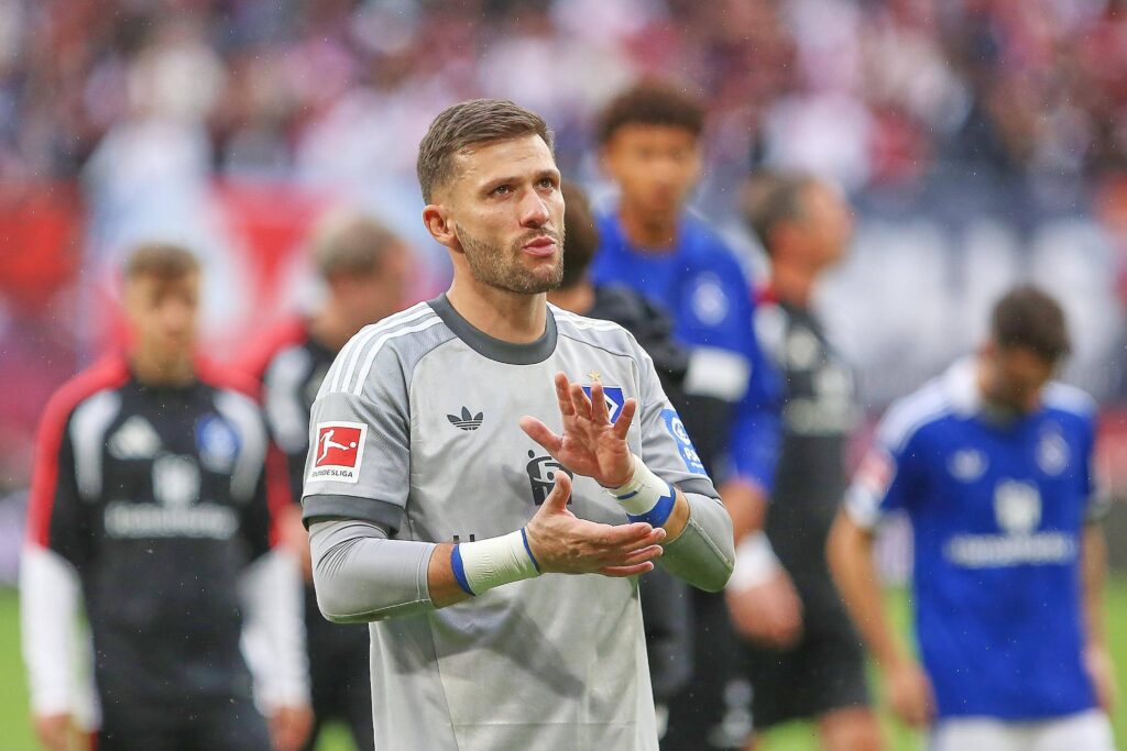 Daniel Heuer Fernandes