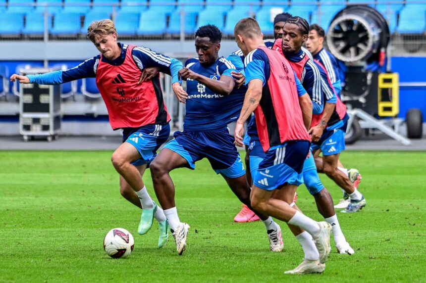 HSV-Training