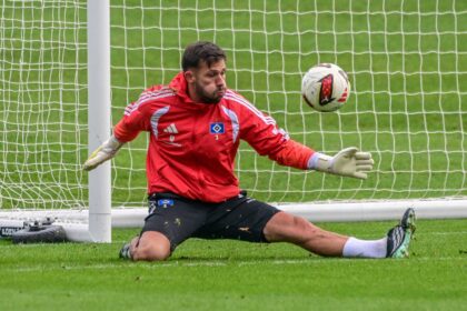 Daniel Heuer Fernandes