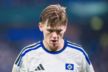 David Möller Wolfe